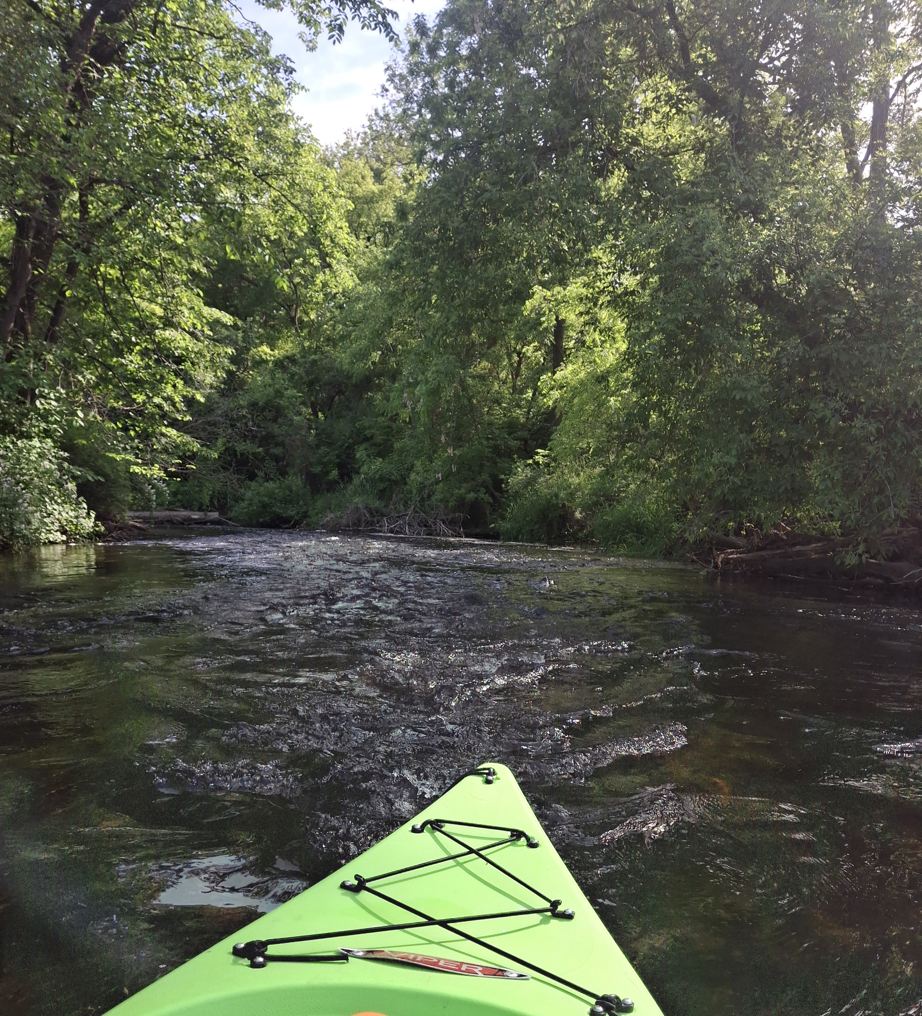 Riffles and overhanging trees on Badfish Creek