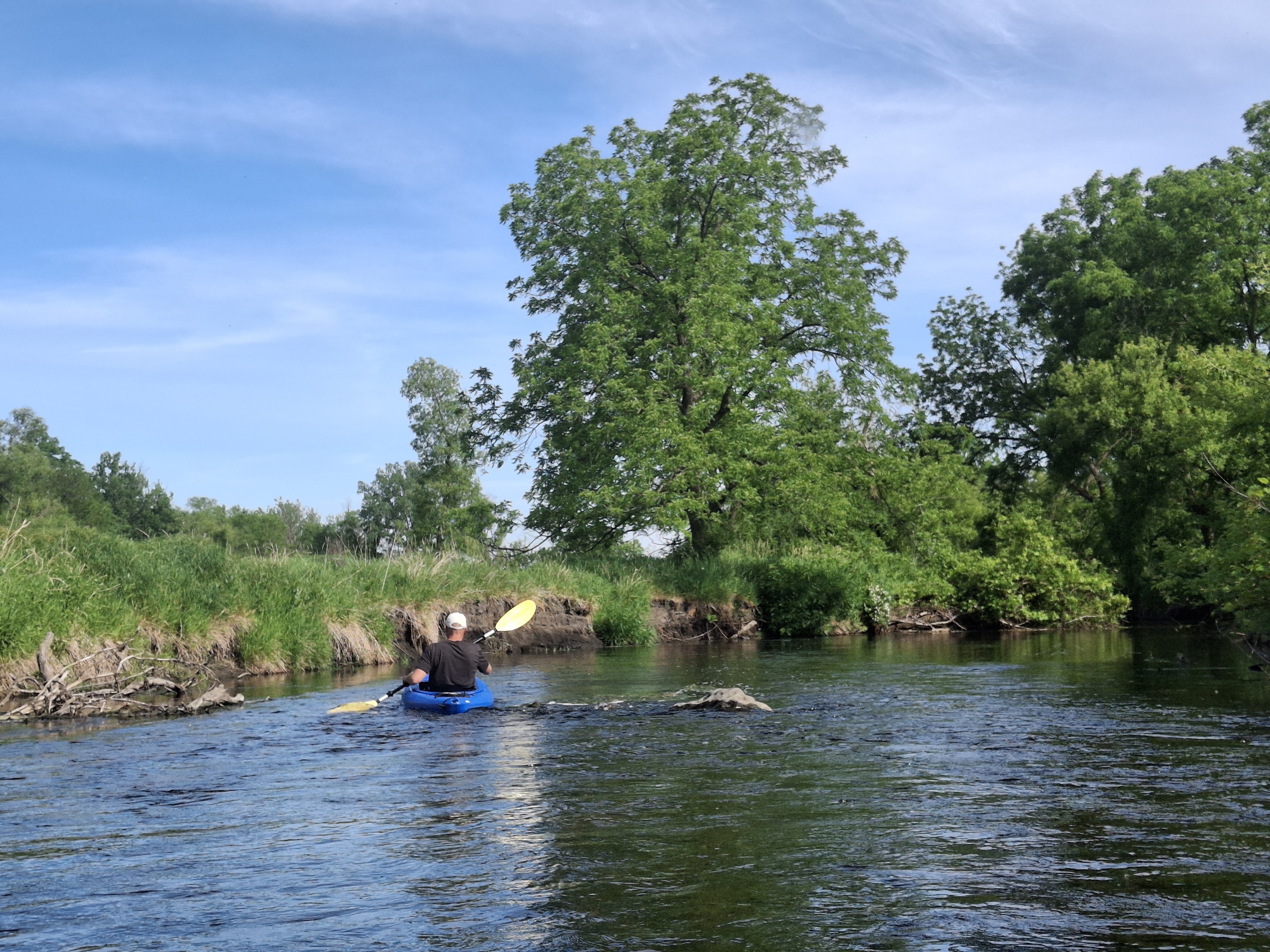 A quiet bend on Badfish Creek